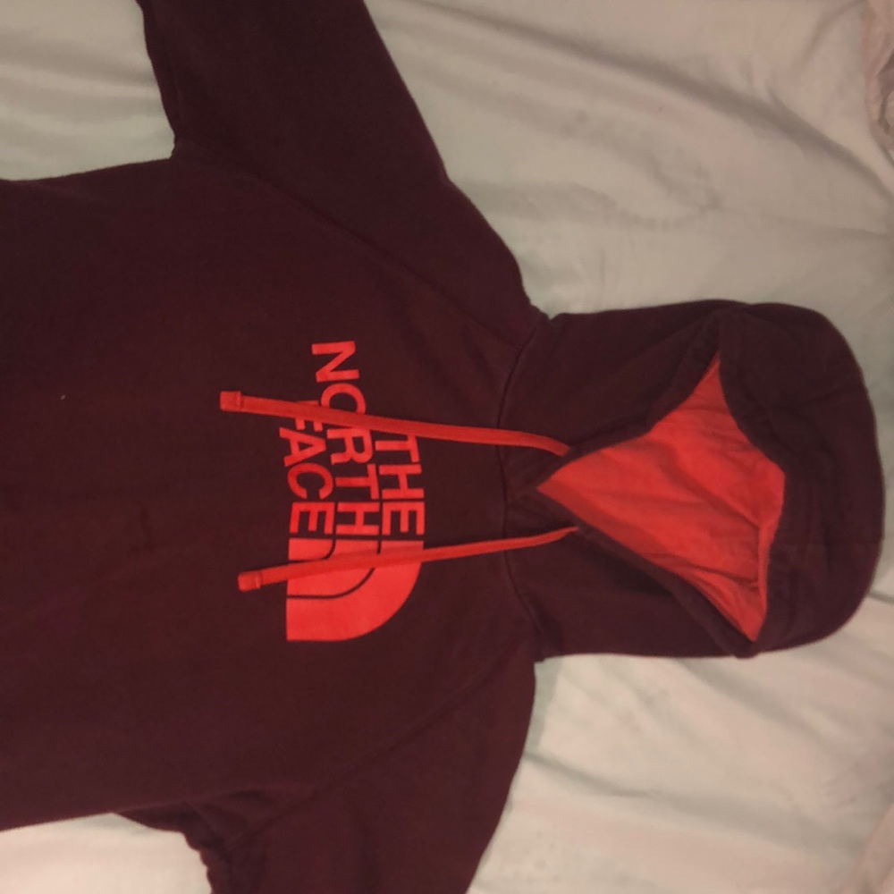 The north face sweatshirt